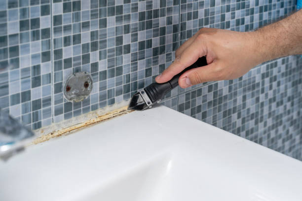 Best Mold Remediation  in Six Shooter Canyon, AZ